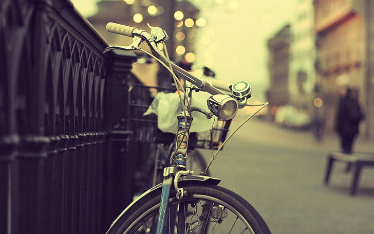 Vintage bicycle, stainless steel and white summer cruiser bicycle, HD wallpaper