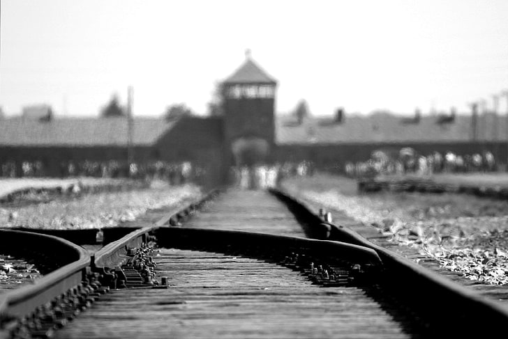 auschwitz, birkenau, black and white, concentration camp, depth of field, HD wallpaper