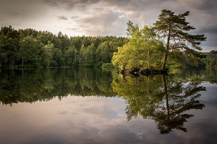 lake, trees, reflection, pine trees, plant, water, cloud - sky