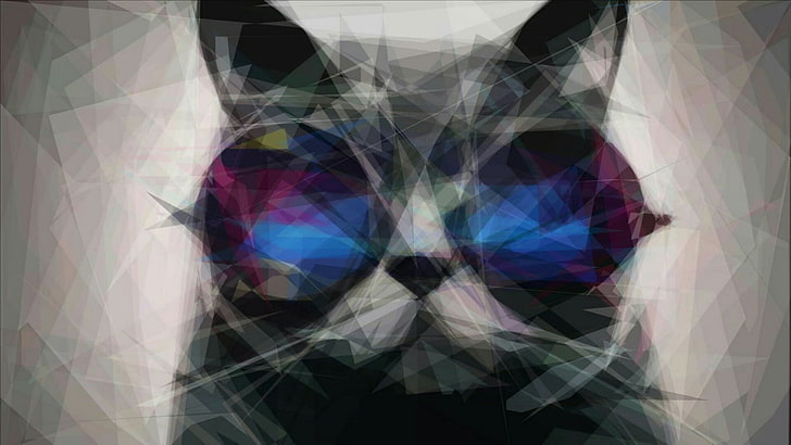cat, sunglasses, design, art, graphic design, modern art, graphics