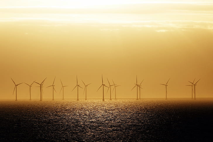 wind turbine lot on body of water, Wind power, öresund, sunset  yellow