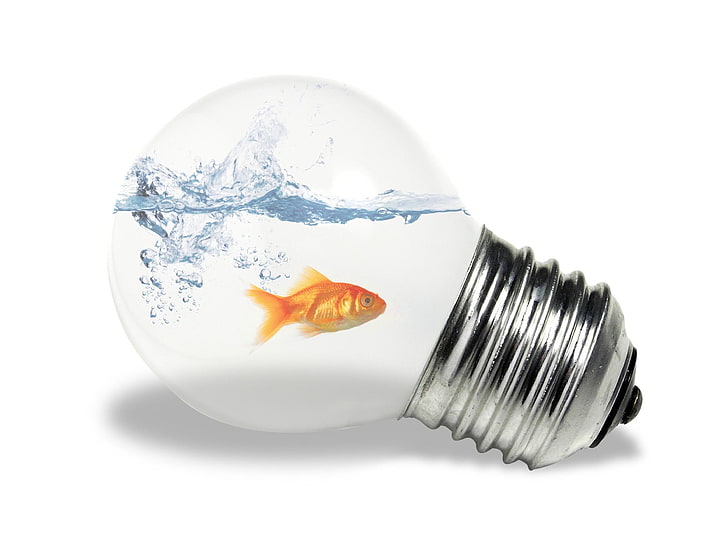 goldfish inside light bulb edition photo, white, water, electricity, HD wallpaper