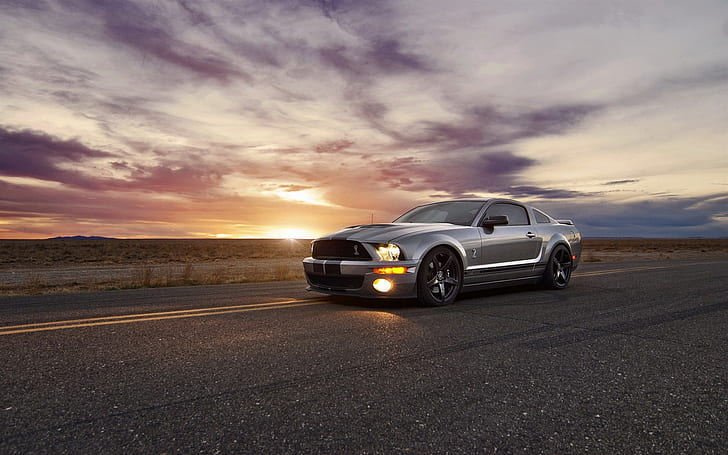 Ford Cobra Shelby GT500 supercar at sunset, HD wallpaper