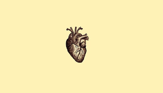 HD wallpaper: Anatomy, digital art, drawing, Hearts, Medicine, minimalism |  Wallpaper Flare