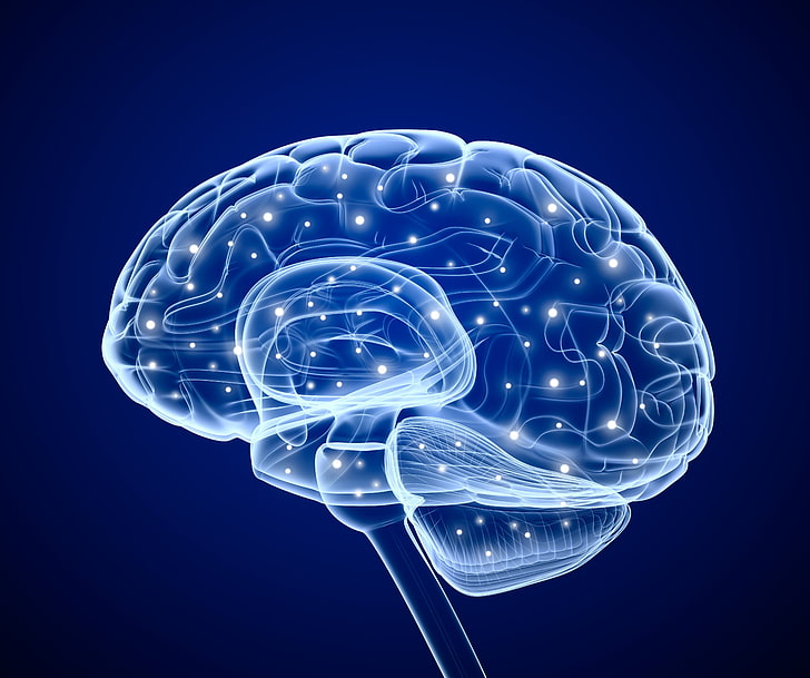 human brain 3D art, minimalism, people, x-rays, digital art, blue background
