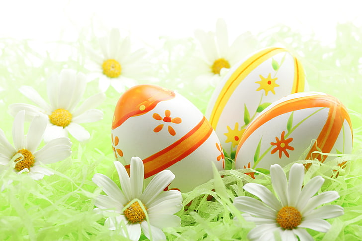 three Easter eggs, holiday, chamomile, springtime, flower, daisy, HD wallpaper