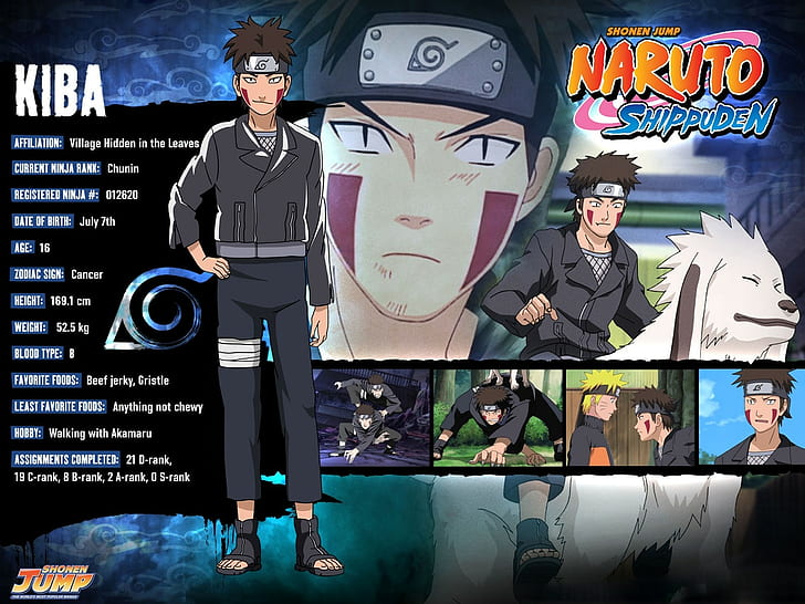 HD wallpaper: Naruto, Inuzuka kiba, Guy, Lettering, Wraps, Bandana, Dog,  standing | Wallpaper Flare