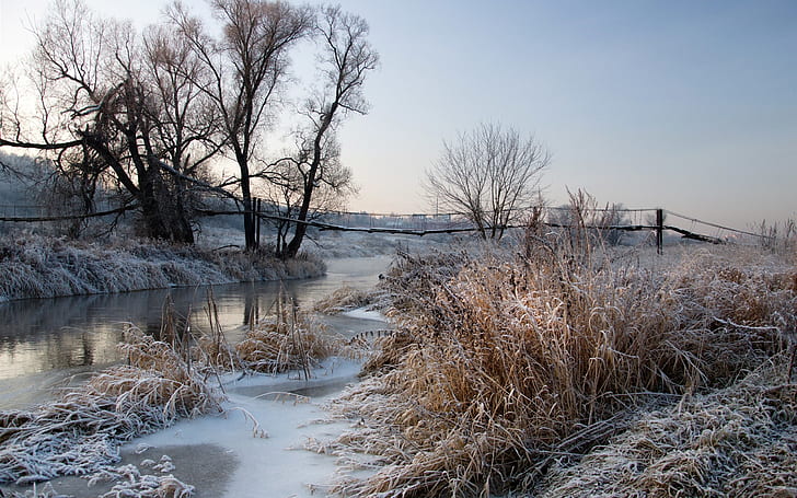 Winter, frost, dawn, river, trees