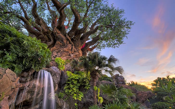 trees, Park, waterfall, FL, Florida, Disney world, Disney's Animal Kingdom, HD wallpaper