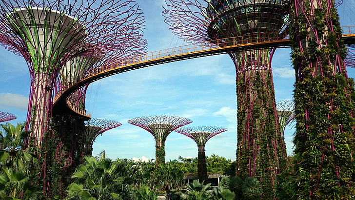 singapore, marina bay, garden, gardens, supertree grove, gardens by the bay, HD wallpaper