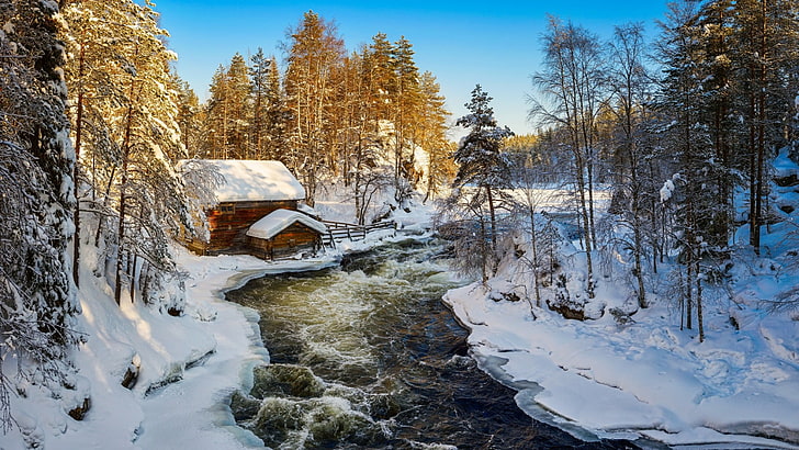 water, cabin, log cabin, europe, finland, kuusamo, pine, forest