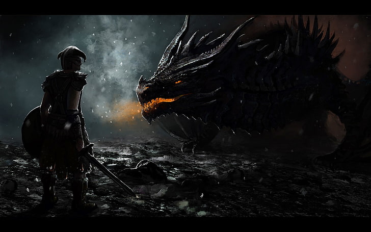 person facing black dragon wallpaper, The Elder Scrolls V: Skyrim
