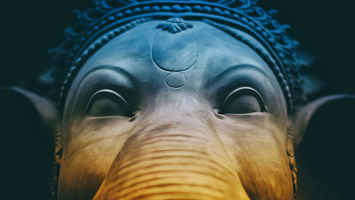 Lord Ganesha Idol 5K, underwater, animals in the wild, one animal