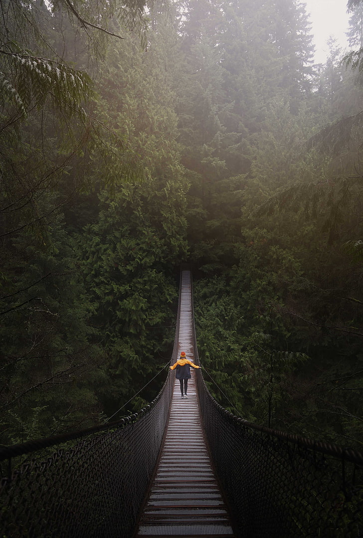 brown hanging bridge, man, trees, forest, vancouver, canada, plant, HD wallpaper