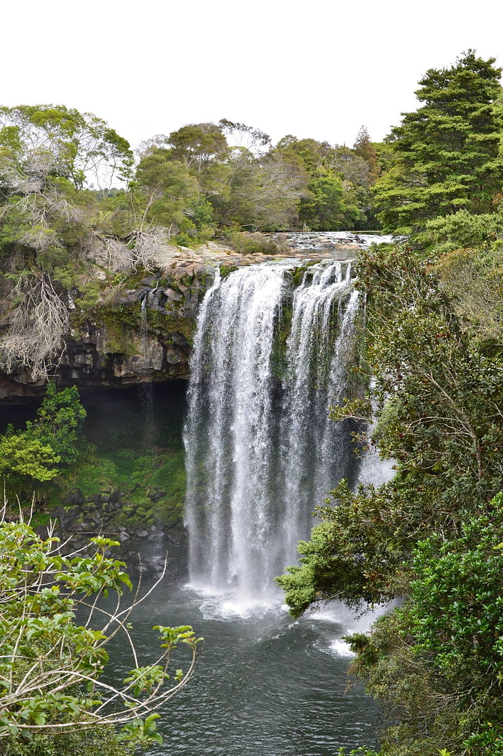 waterfall, New Zealand, nature, plant, tree, beauty in nature, HD wallpaper