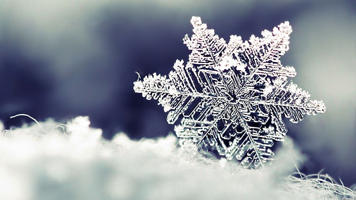 crystal snowflake, shape, pattern, winter, christmas, frost, ice, HD wallpaper