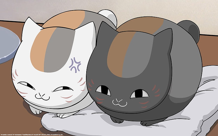 two white and gray cats illustration, Natsume Book of Friends