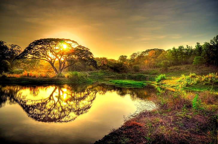 lake, sunset, pond, trees, landscape, nature, forest, outdoors