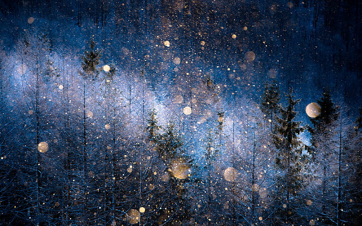 Nagano Prefecture, Japan, snow, HD wallpaper
