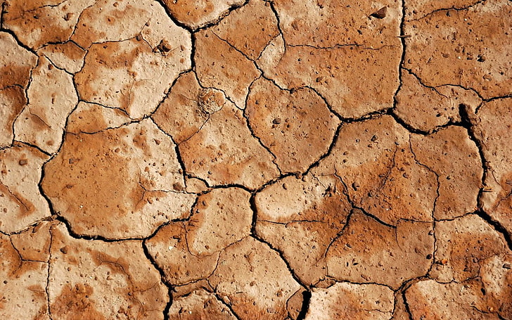 brown dried soil, Earth, Desert, Cracks