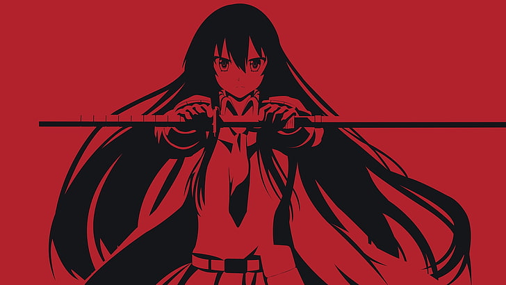 anime, Akame ga Kill!, red, one person, women, adult, indoors, HD wallpaper