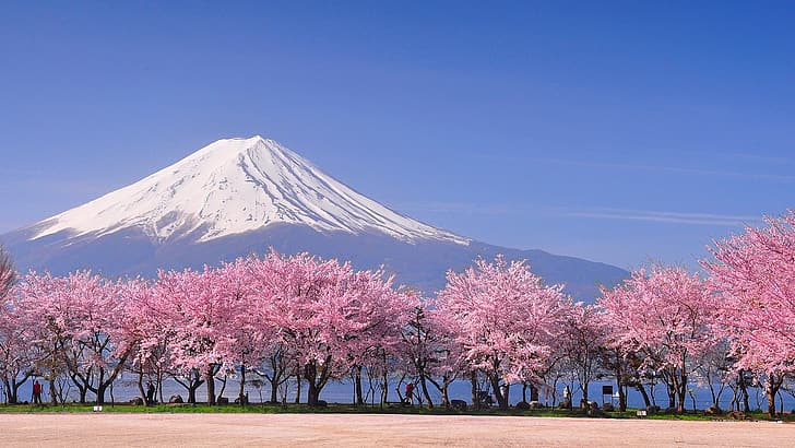 nature, landscape, sky, mountains, trees, snowy peak, Sakura blossom, HD wallpaper