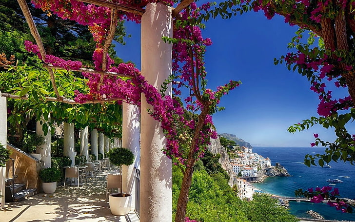 Towns, Amalfi, Flower, House, Italy, Tree