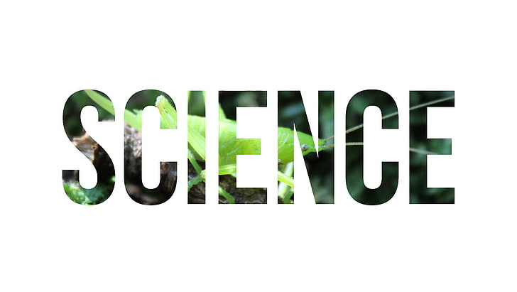 green Science text on white background, nature, insect, typography