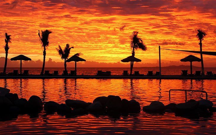 landscape, sunset, palm trees, sunlight, sea, water, sky, silhouette, HD wallpaper