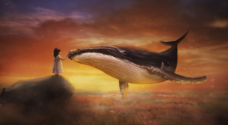 Dreamy World, blue whale illustration, Aero, Creative, paradise, HD wallpaper