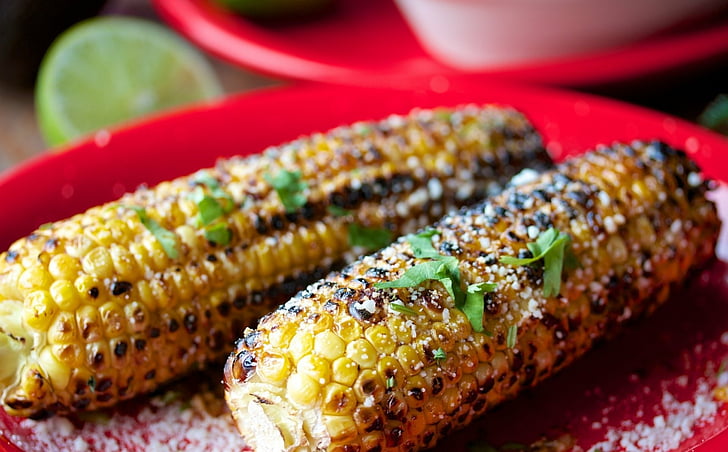 Food, Corn, food and drink, close-up, barbecue, no people, vegetable, HD wallpaper
