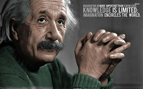 HD wallpaper: Albert Einstein quote, everybody is a genius text, typography  | Wallpaper Flare