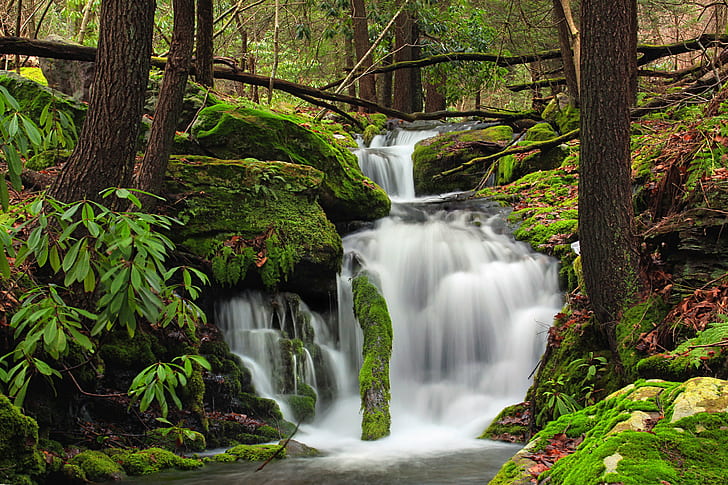 time lapse photography of water fountain in green forest, Fall Creek