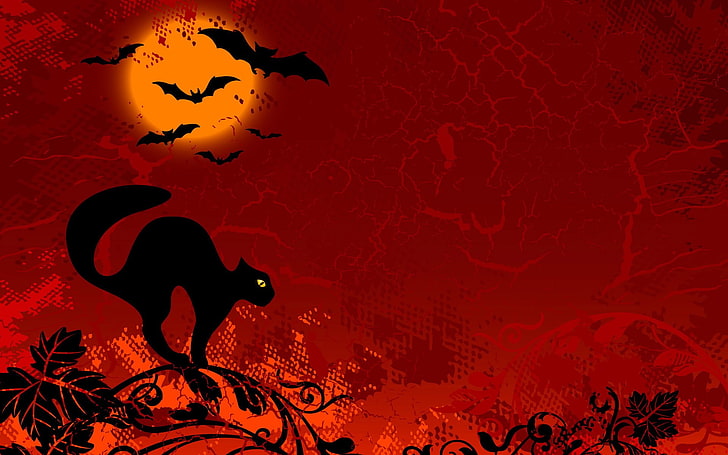 Halloween, black cats, animal, animal representation, animal themes, HD wallpaper
