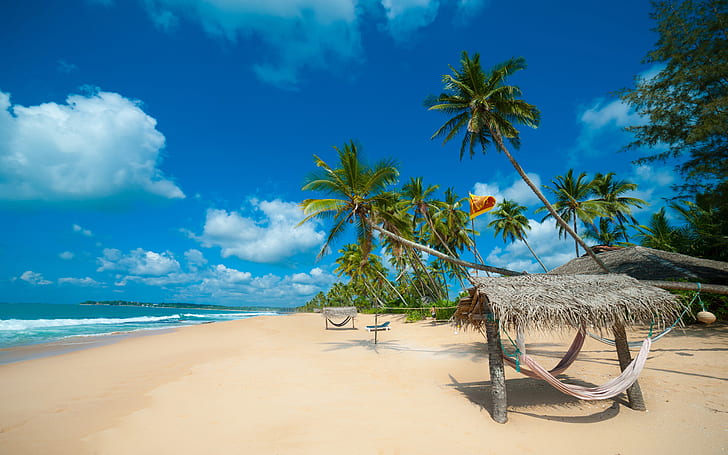 Tropical Sand Beaches In Sri Lanka Indian Ocean Photo Wallpaper Hd 1920×1200