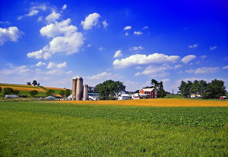 farm at far distance, Cultivated, Pennsylvania, Berks County, HD wallpaper