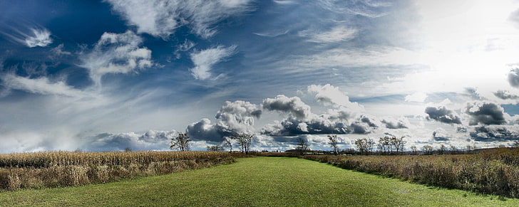 landscape, nature, sky, clouds, cloud - sky, environment, grass, HD wallpaper