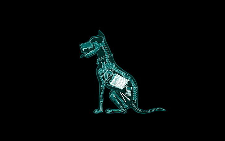 green animal skeleton illustration, humor, dog, minimalism, simple background, HD wallpaper