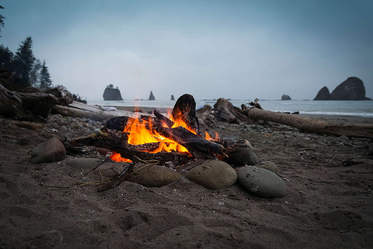 ash, beach, bonfire, campfire, flames, heat, hot, ocean, olympic coast, HD wallpaper
