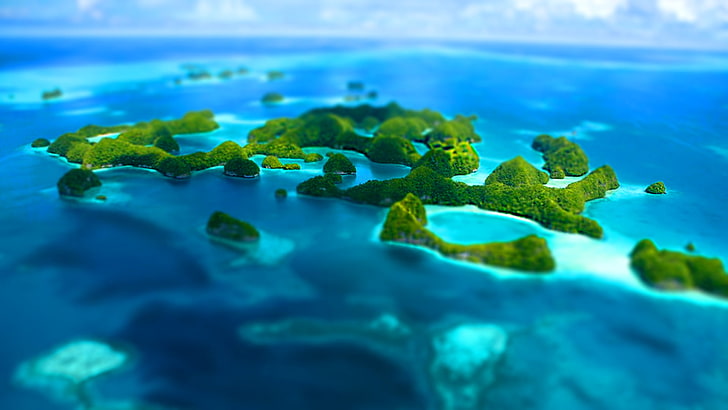 tree covered island, aerial photography of island, tilt shift