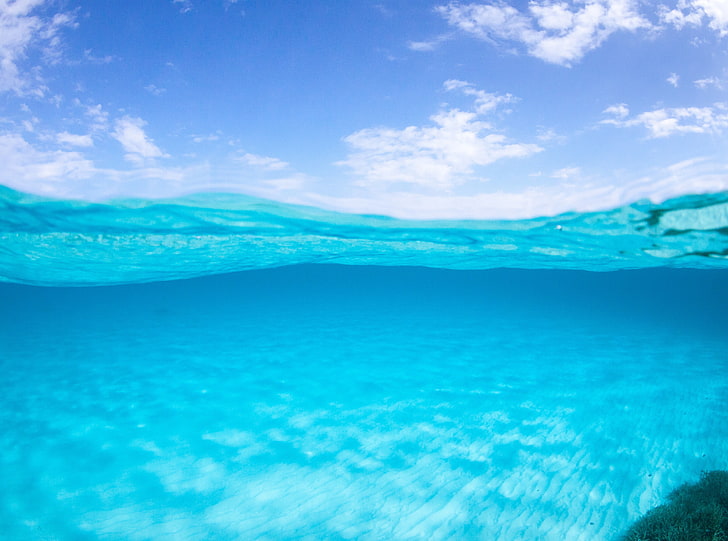 1080P Underwater Wallpaper - werohmedia