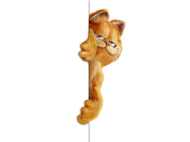 Garfield illustration, cat, peep out, animal, domestic Cat, cute, HD wallpaper