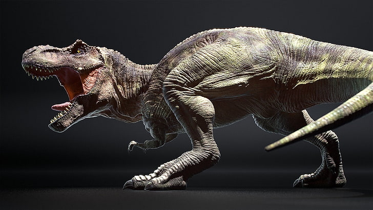 Animal, Dinosaur, Tyrannosaurus Rex