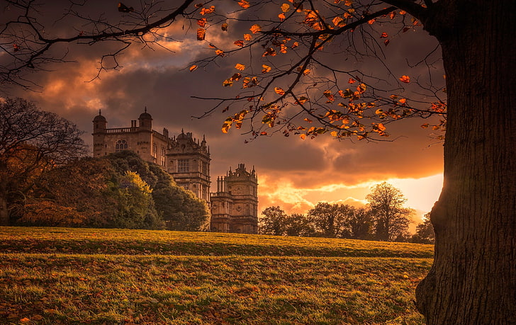 brown castle wallpaper, autumn, light, tree, England, Palace, HD wallpaper