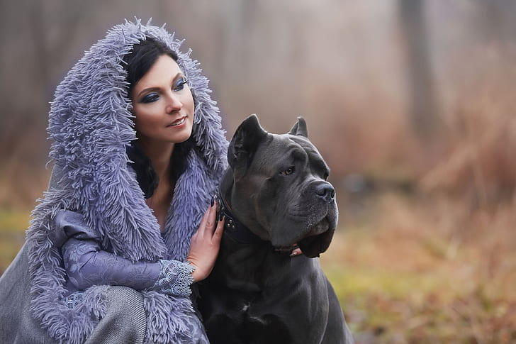 20 Cane Corso HD Wallpapers and Backgrounds