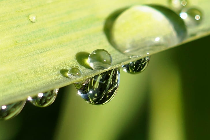 closeup photo of water drops on green leaf, drip  drop, waterdrop