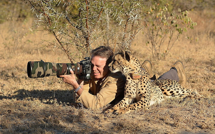 brown jacket, animals, nature, photographer, camouflage, cheetah
