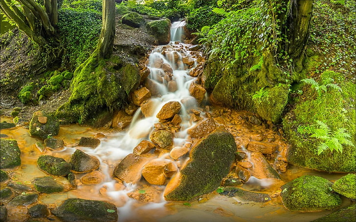 Beautiful Waterfall Rocks With Brown Color Coast Green Moss Trees Fern Hd Wallpaper For Desktop 3840×2400