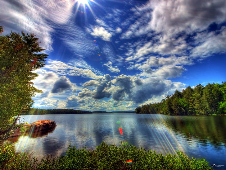 body of water surrounded by tree under blue clouds photography