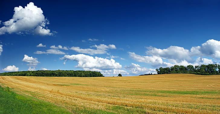 panorama photo of rice field, Xanthophyll, Pennsylvania, Lehigh County, HD wallpaper